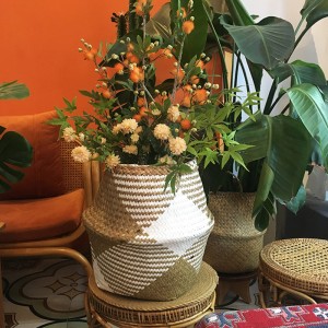 짠된 바다 바구니 바구니