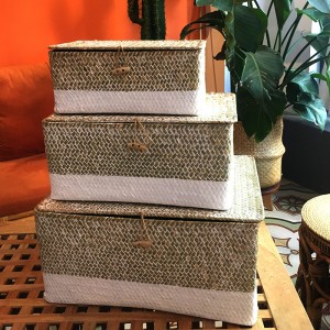 해초 짠된 상자를 짠 상자